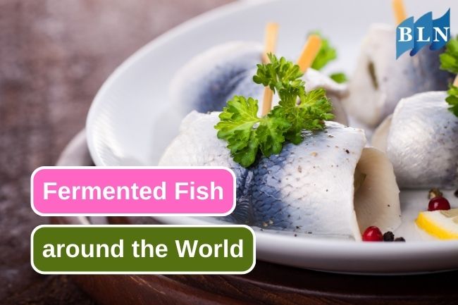 Fermented Fish Dishes from Around the World